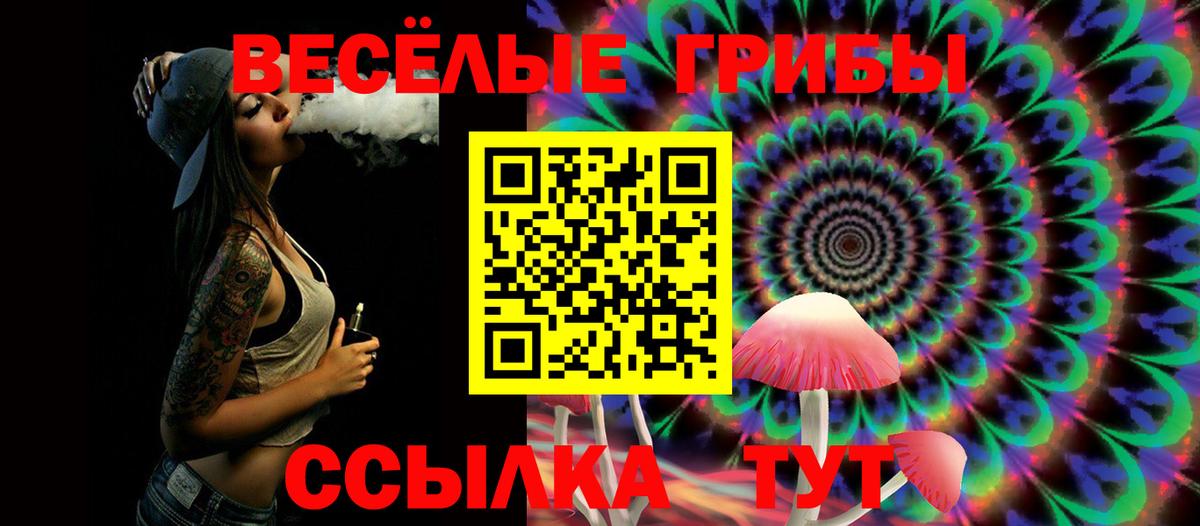 Псилоцибиновые грибы Psilocybe Шелехов