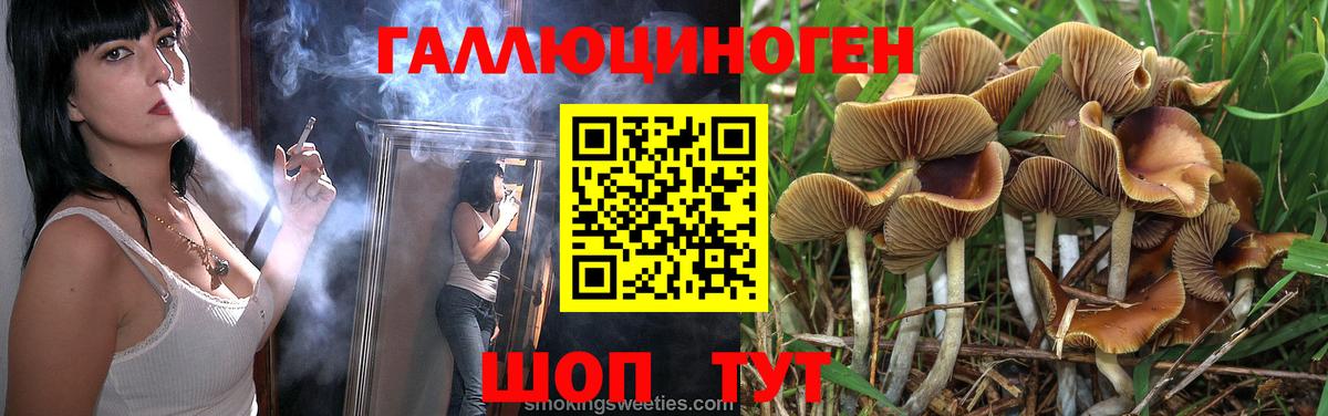 где купить наркоту  Галлюциногенные грибы MAGIC MUSHROOMS  Вход с VPN  Шелехов 